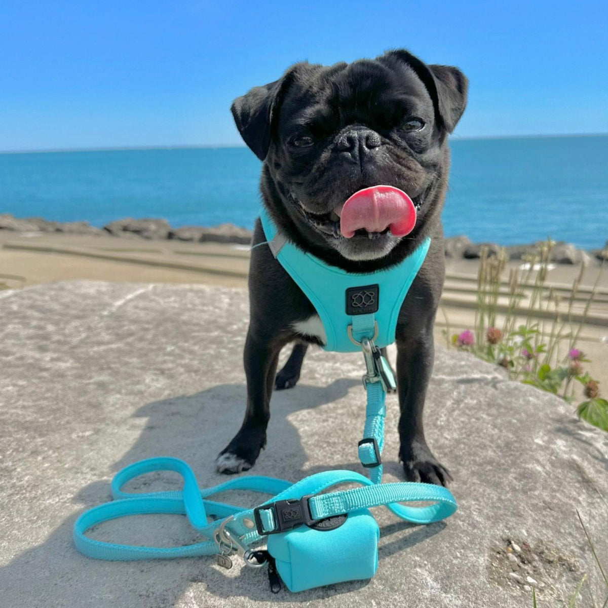 Poop Bag Holder Fifth Ave Blue