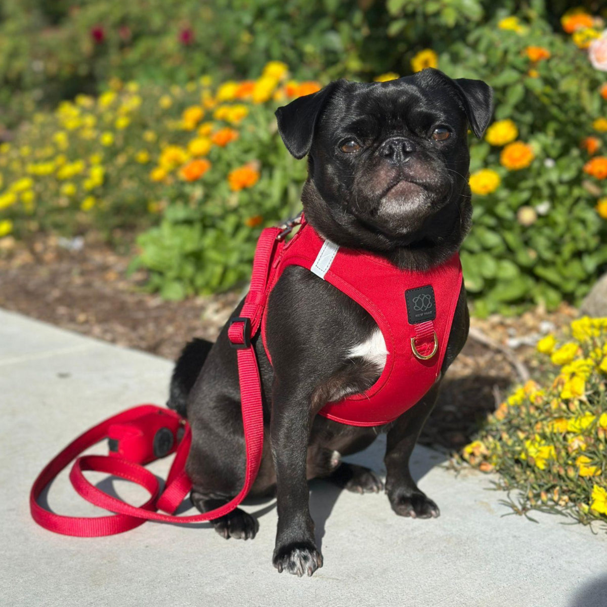 Poop Bag Holder Iconic Red