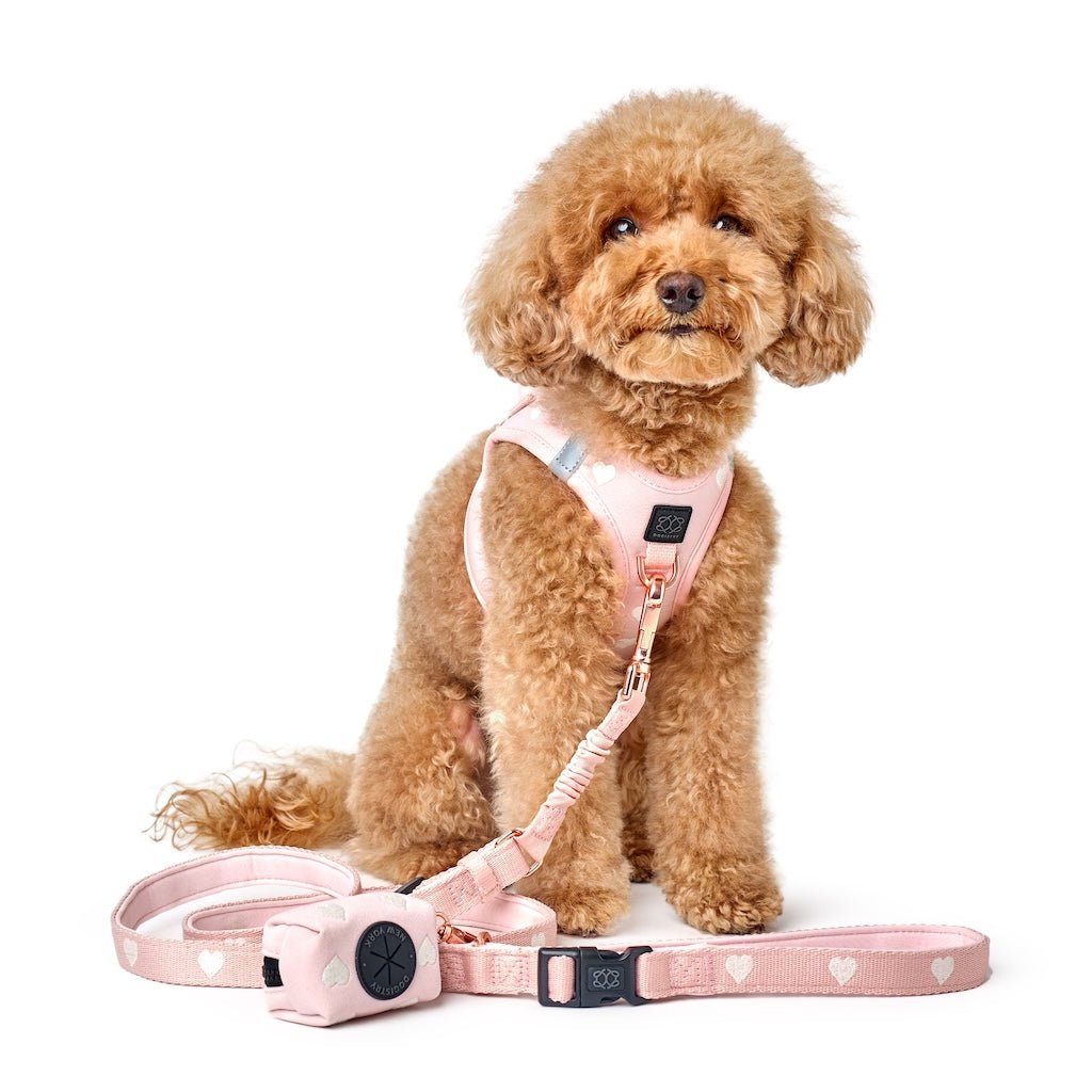 Poop Bag Holder Sweetheart
